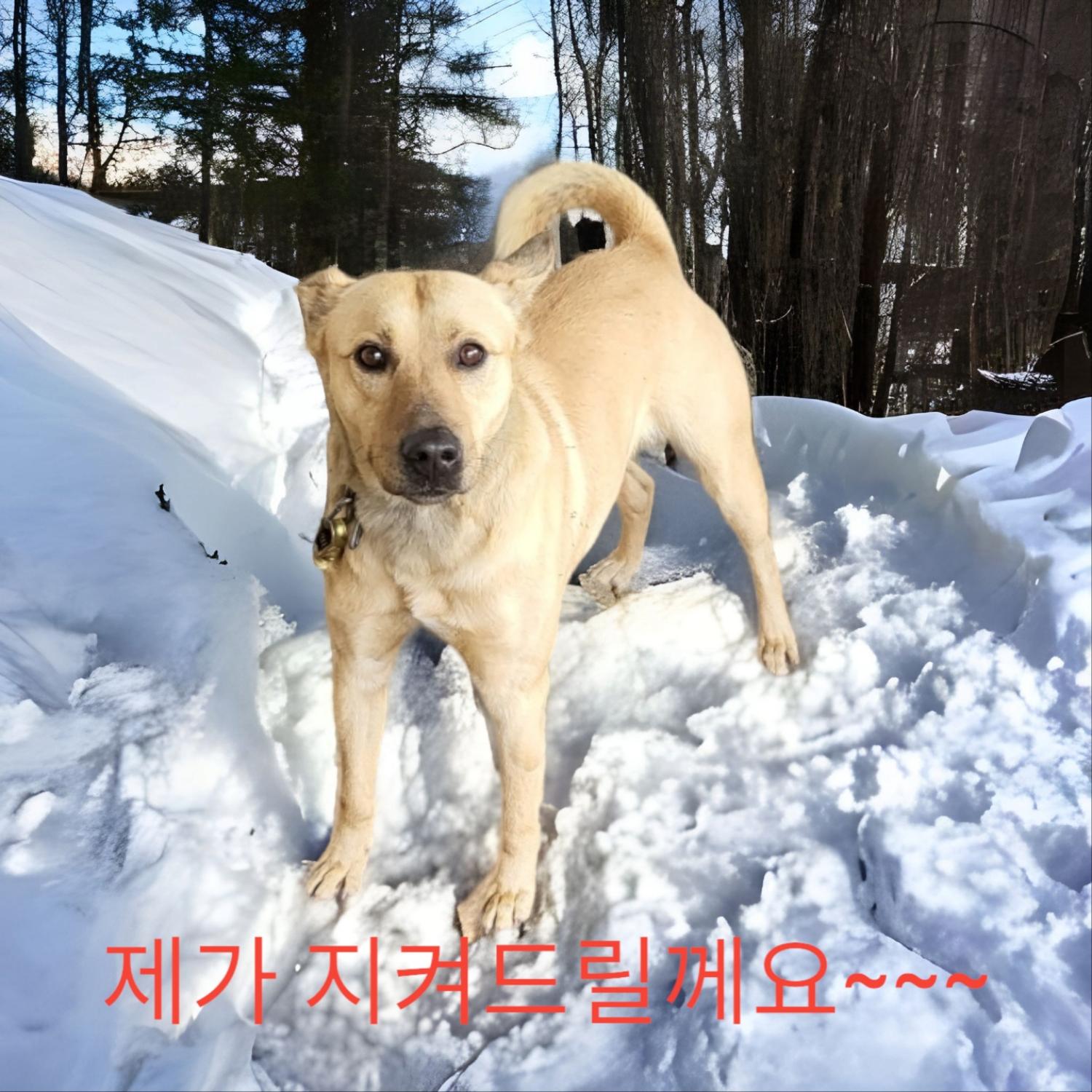 마리노이즈 이미지 파일 입니다.